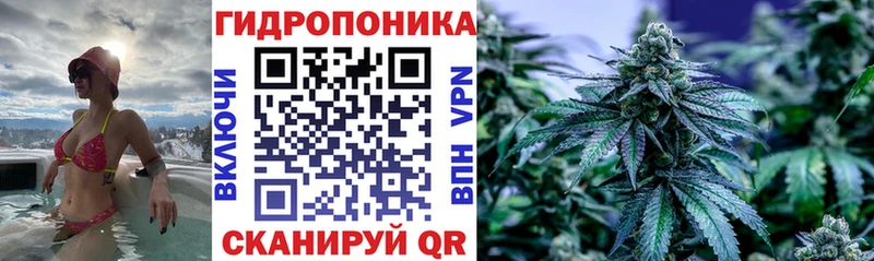Бошки марихуана конопля Щигры